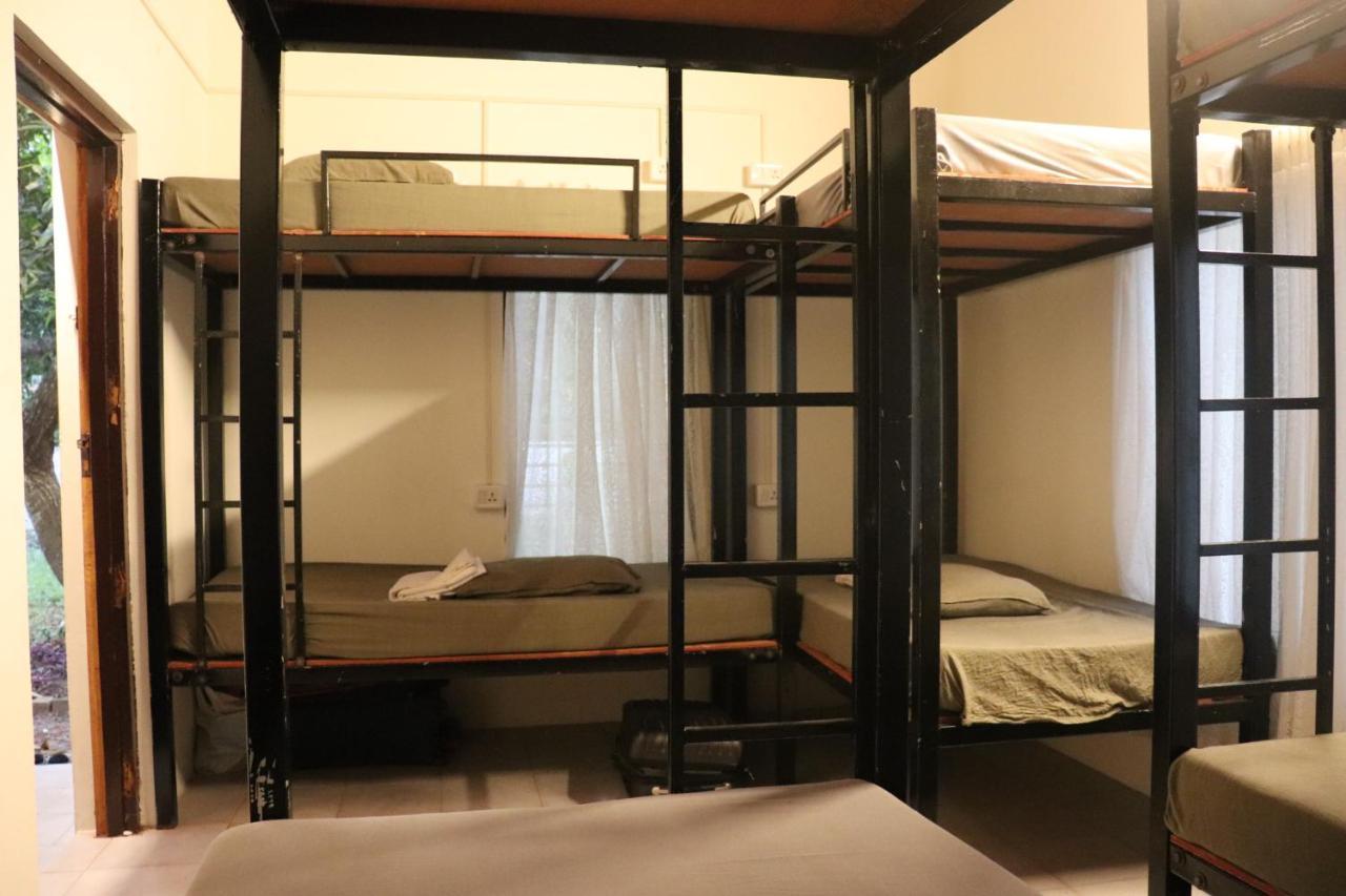 Piggy Hostel 바르칼라 외부 사진